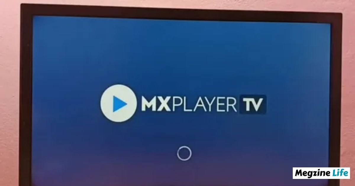 MX Player Net Worth